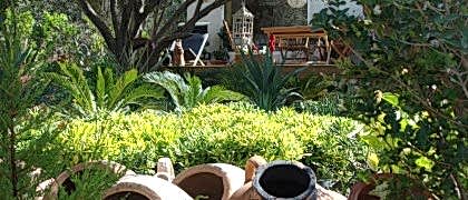 Yalıkavak Peyzaj Mimarı- Saksı Satışı