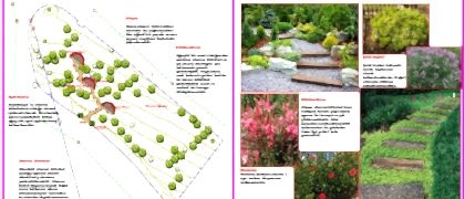 Yalıkavak Peyzaj Mimarı- Saksı Satışı