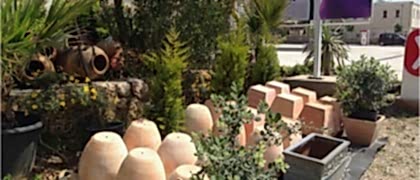 Yalıkavak Peyzaj Mimarı- Saksı Satışı