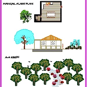 Peyzaj planlama, projelendirme ve uygulama