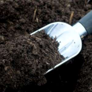 Bahçe toprağı bodrum