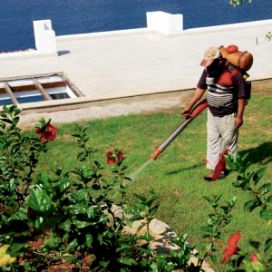 İlaçlama hizmetleri