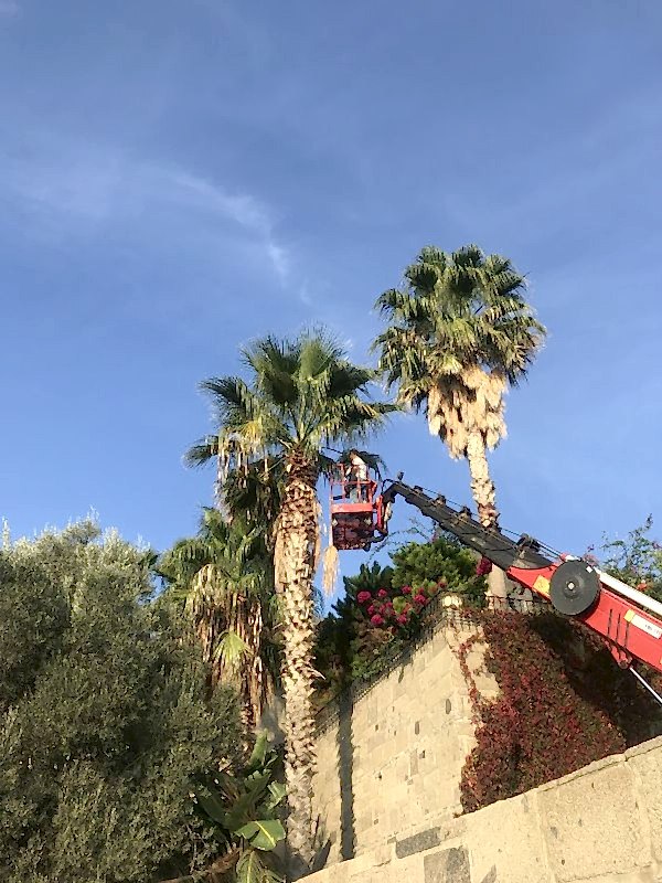 Bodrumda Peyzaj Danışmanlık hizmetleri